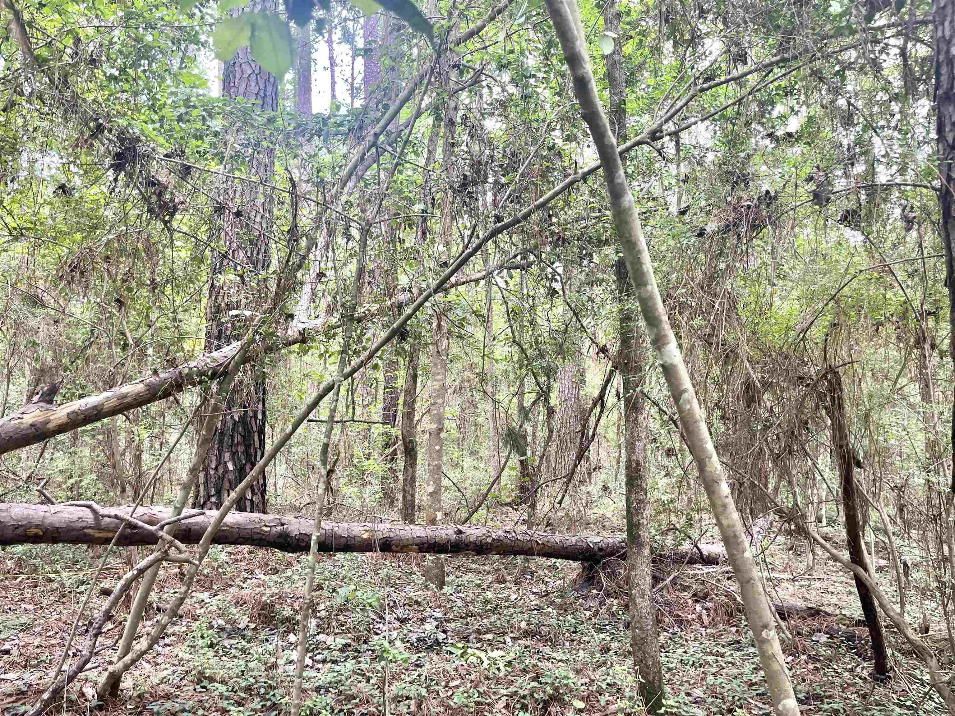 Image 2: Additional View