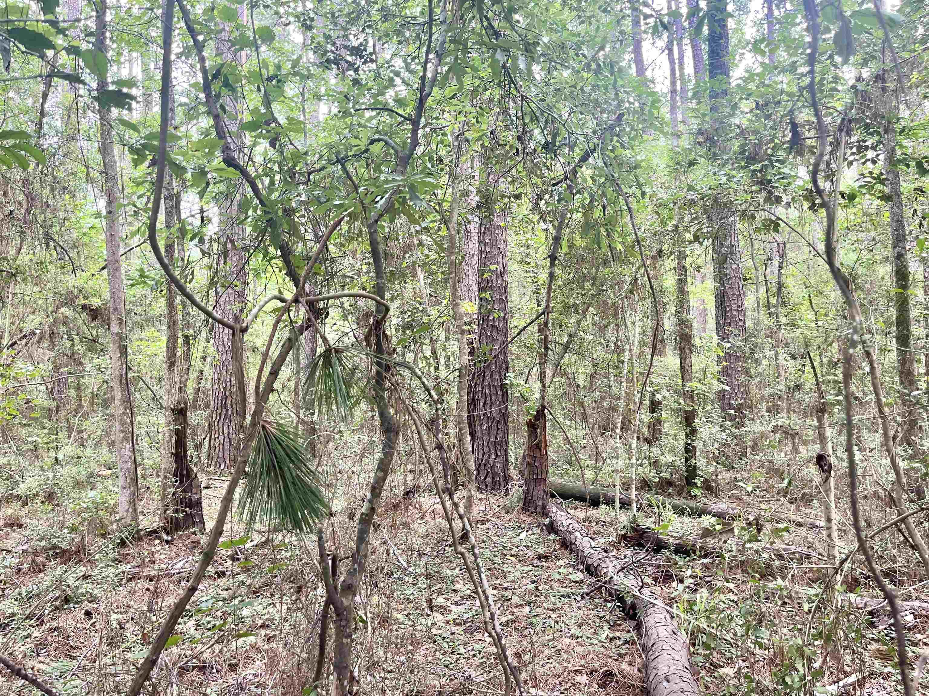Image 3: Additional View
