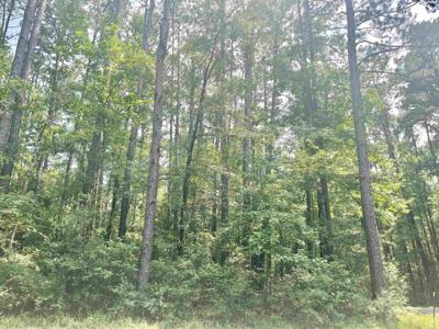 Lot: 533 Starfish Dr.