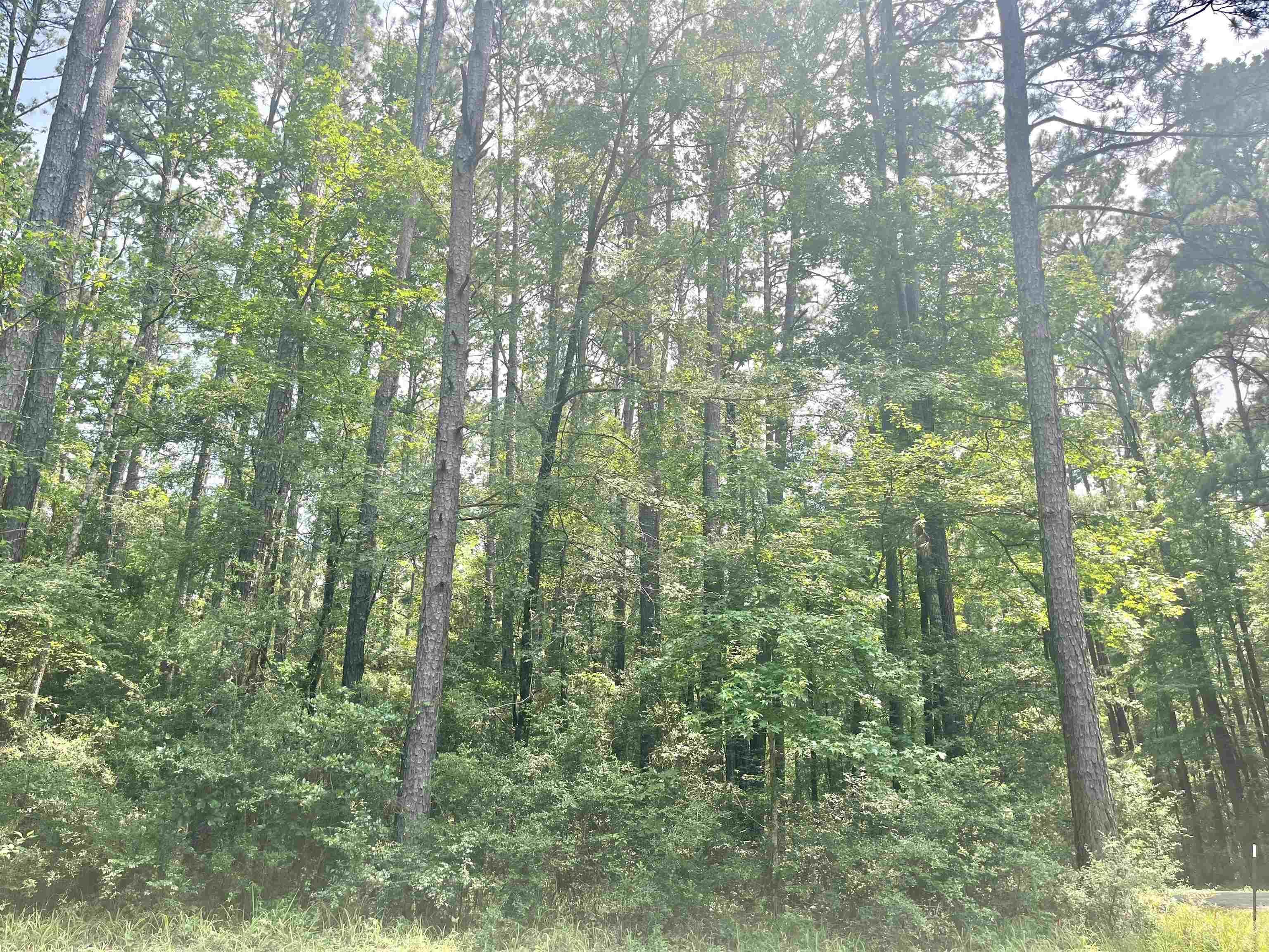 Image 1: Main View