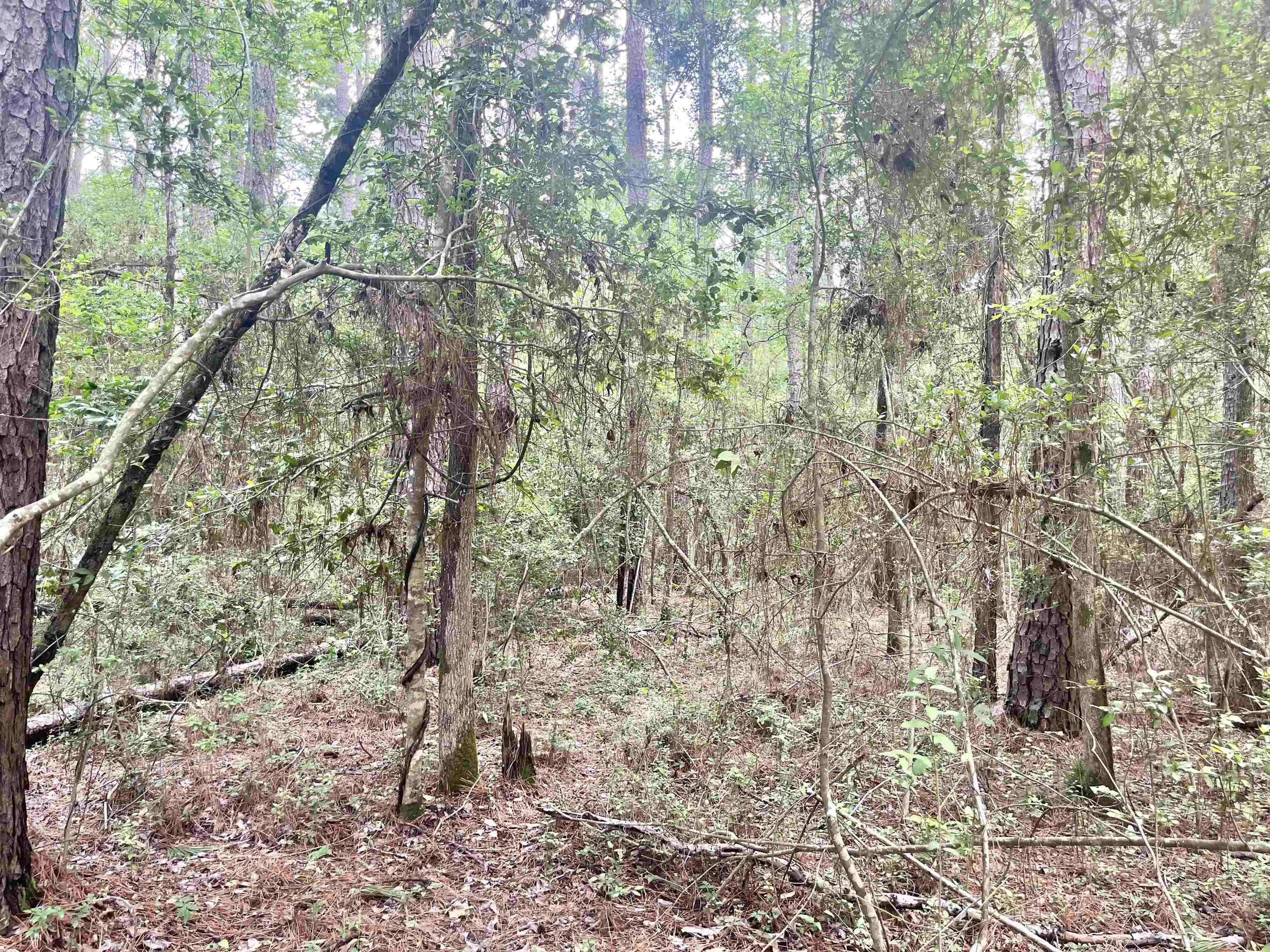 Image 3: Additional View
