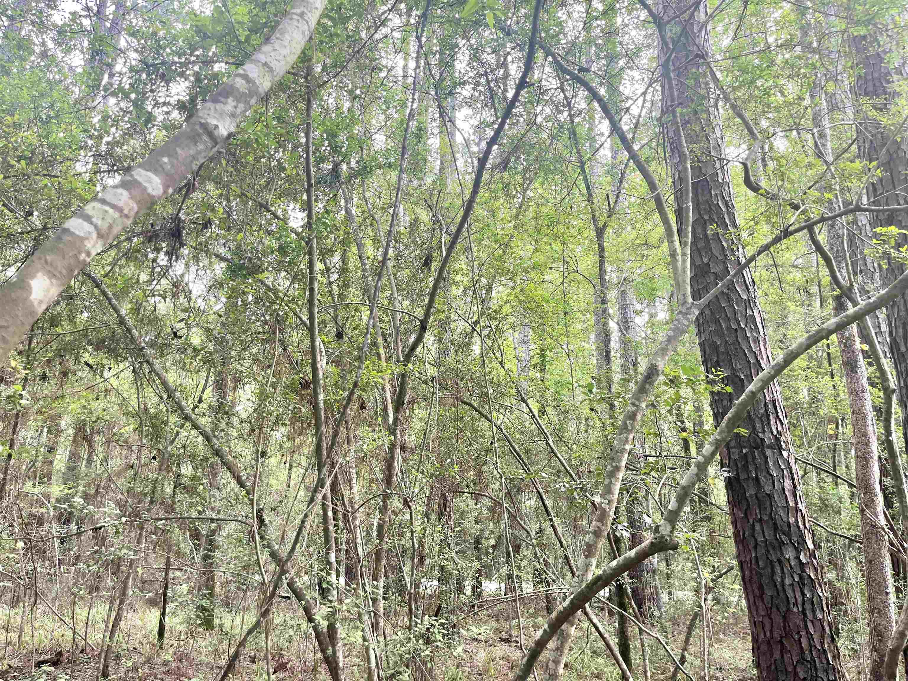 Image 4: Additional View