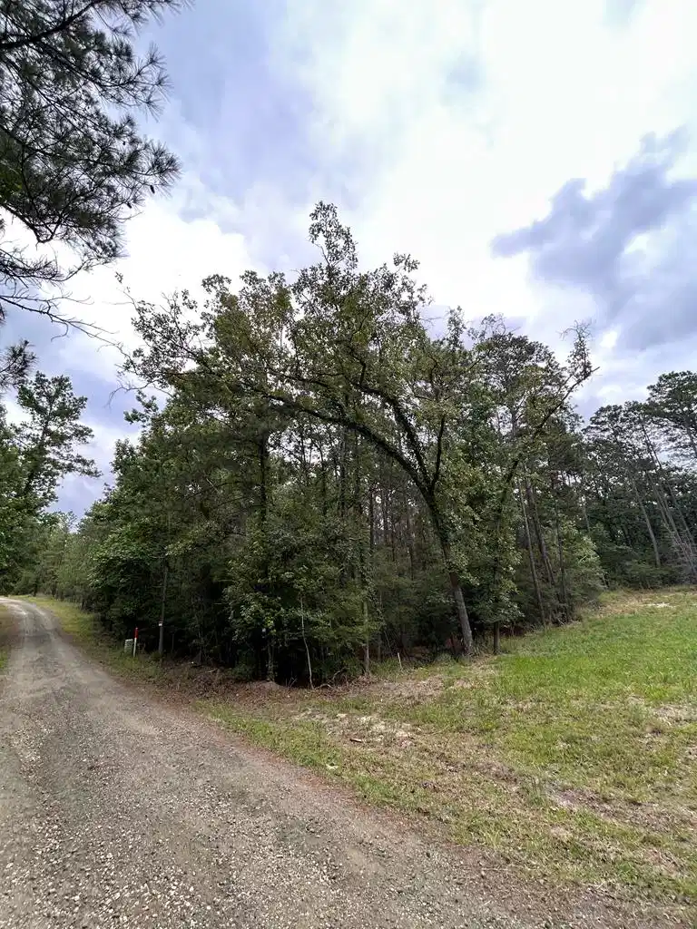 Image 1: Main View