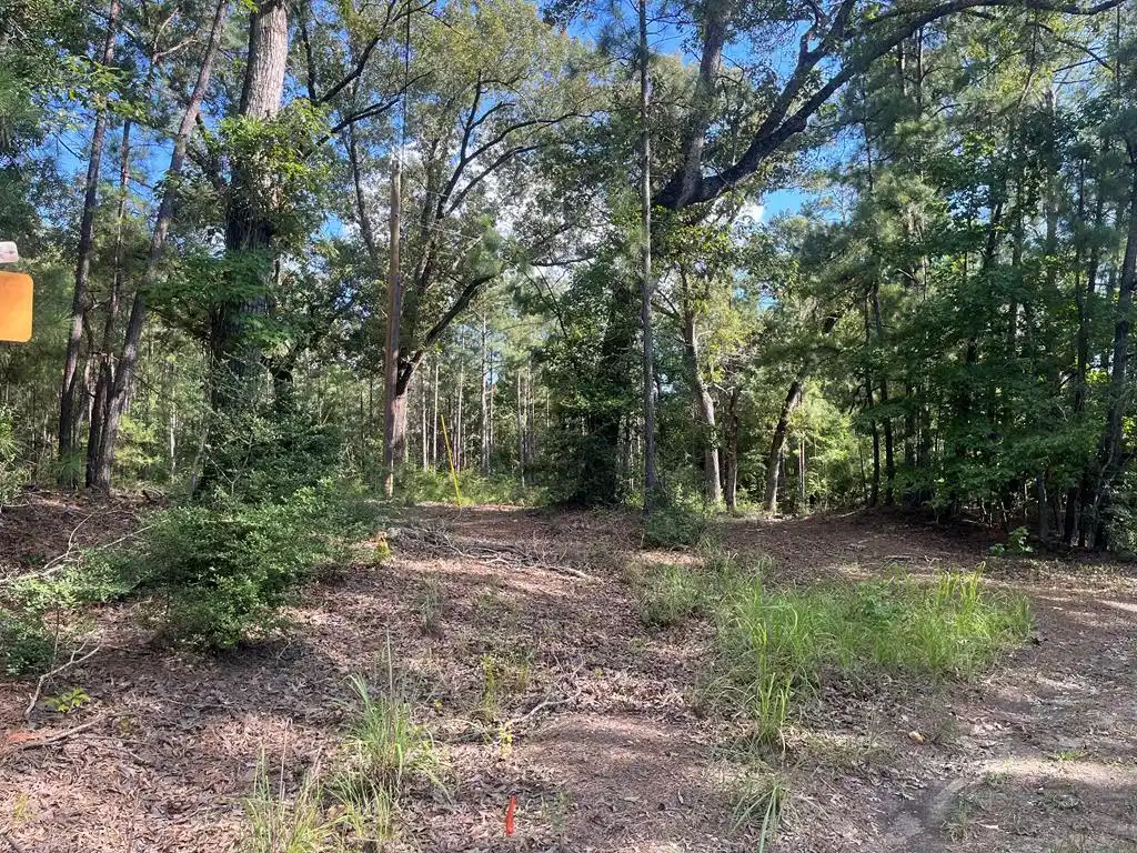 Image 1: Main View