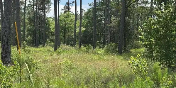 Lot 009 Private Rd 6028