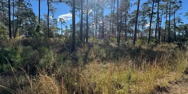 Lot 055 Private Rd 6028