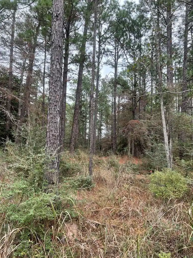 Image 1: Main View