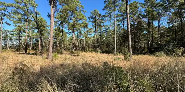 Lot 056 Private Rd 6028