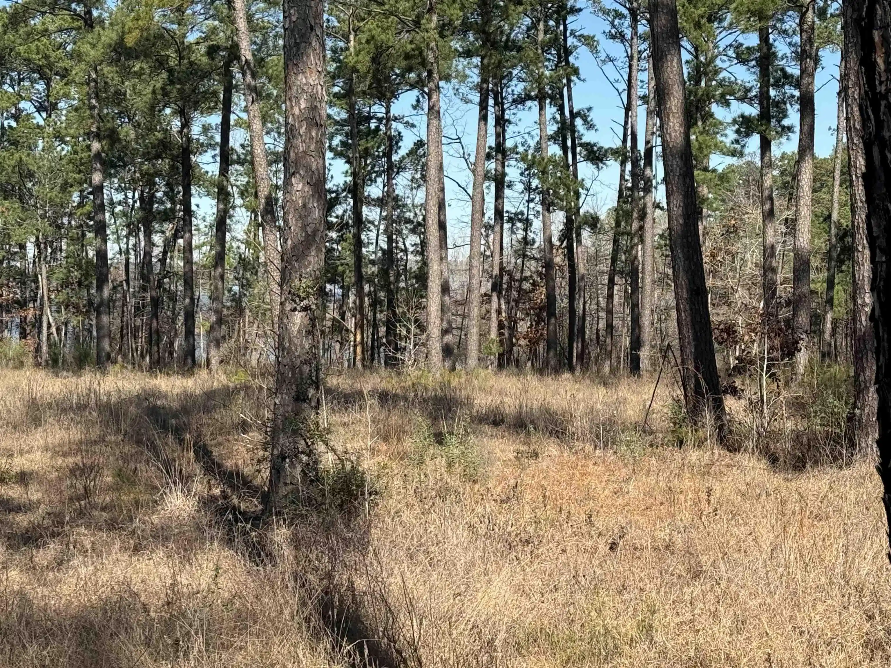 Image 1: Main View