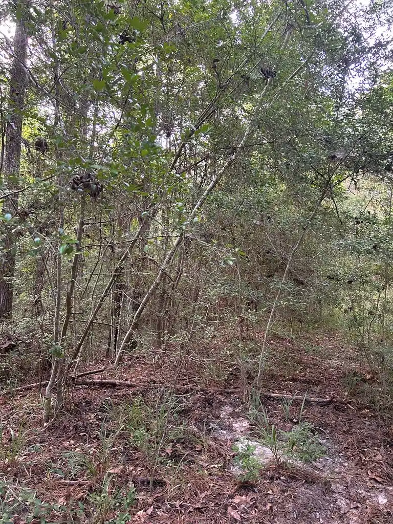 Image 1: Main View