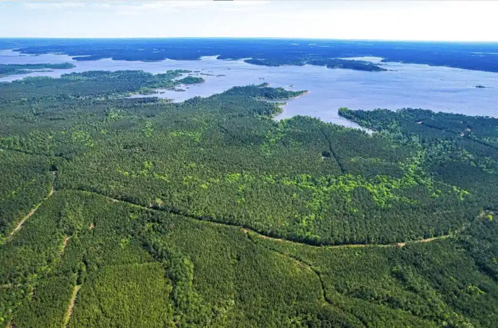 Image 1: Main View