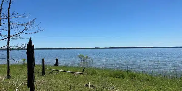 Lot 117 Fm 705 R12357