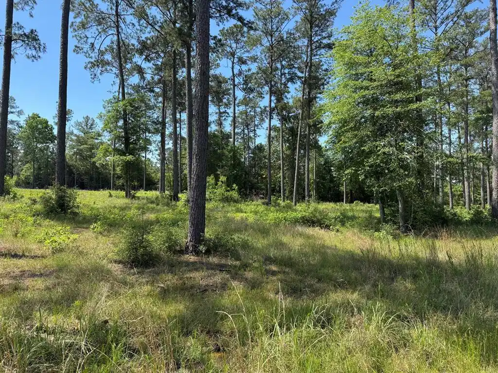 Image 1: Main View