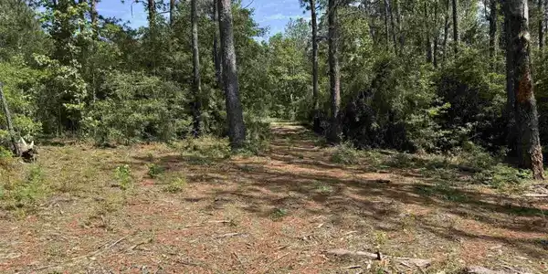 565 Sparkleberry Drive
