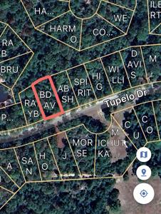 204 Tupelo Drive