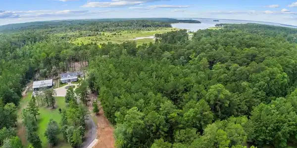 541 Live Oak Drive