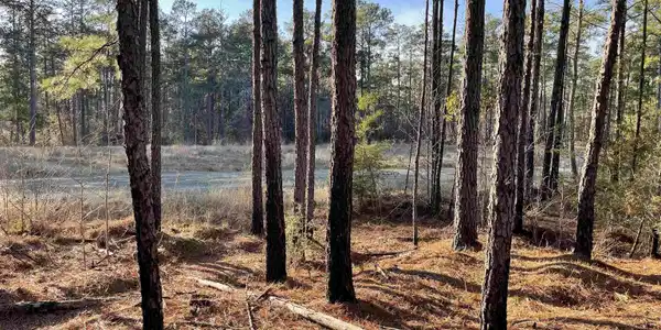 Tract 1-90 Private Rd 6028