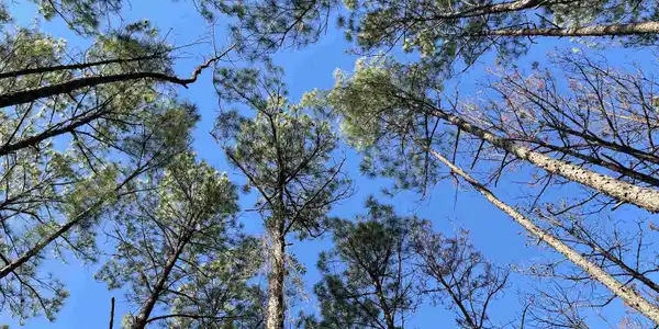 Image 2: Additional View