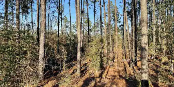 Image 3: Additional View