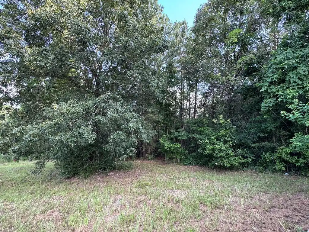 Image 1: Main View