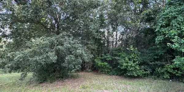 95 Red Wolf Lane