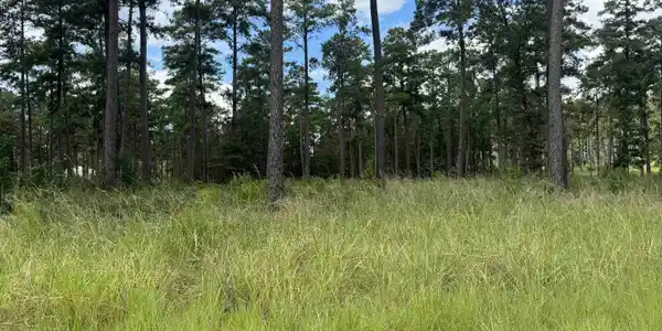 Image 4: Additional View