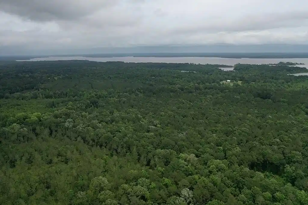 Image 1: Main View