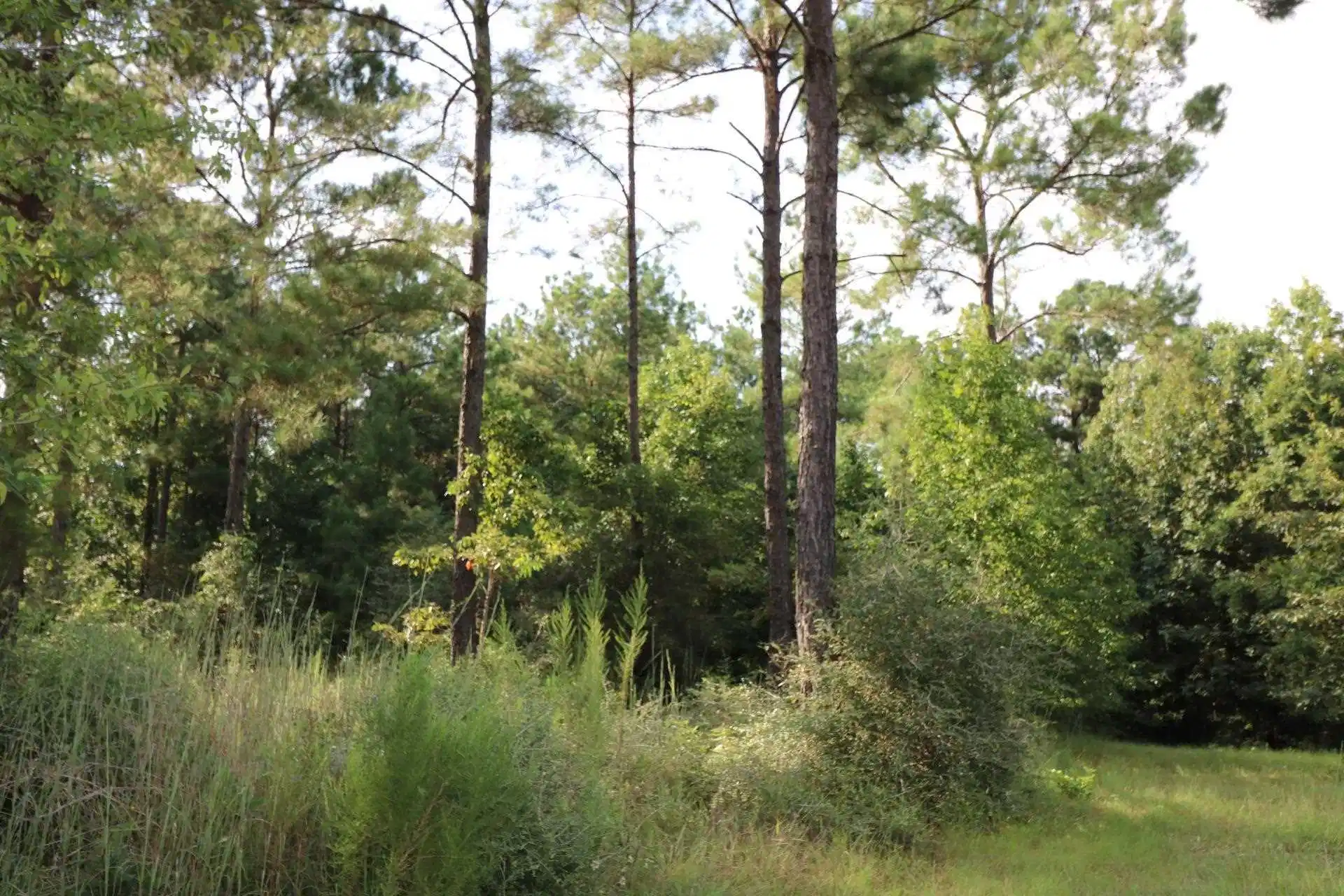 Image 1: Main View