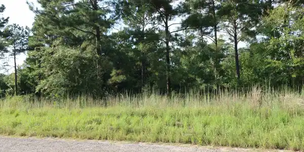 Image 3: Additional View