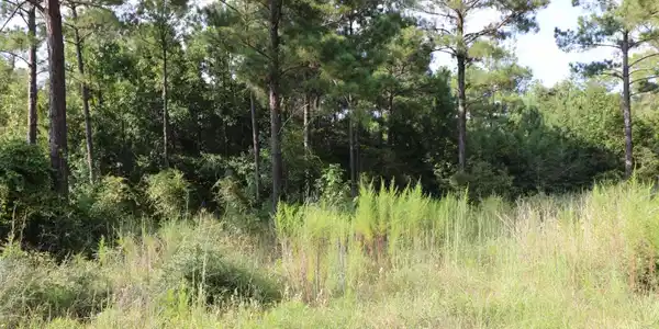 Image 4: Additional View