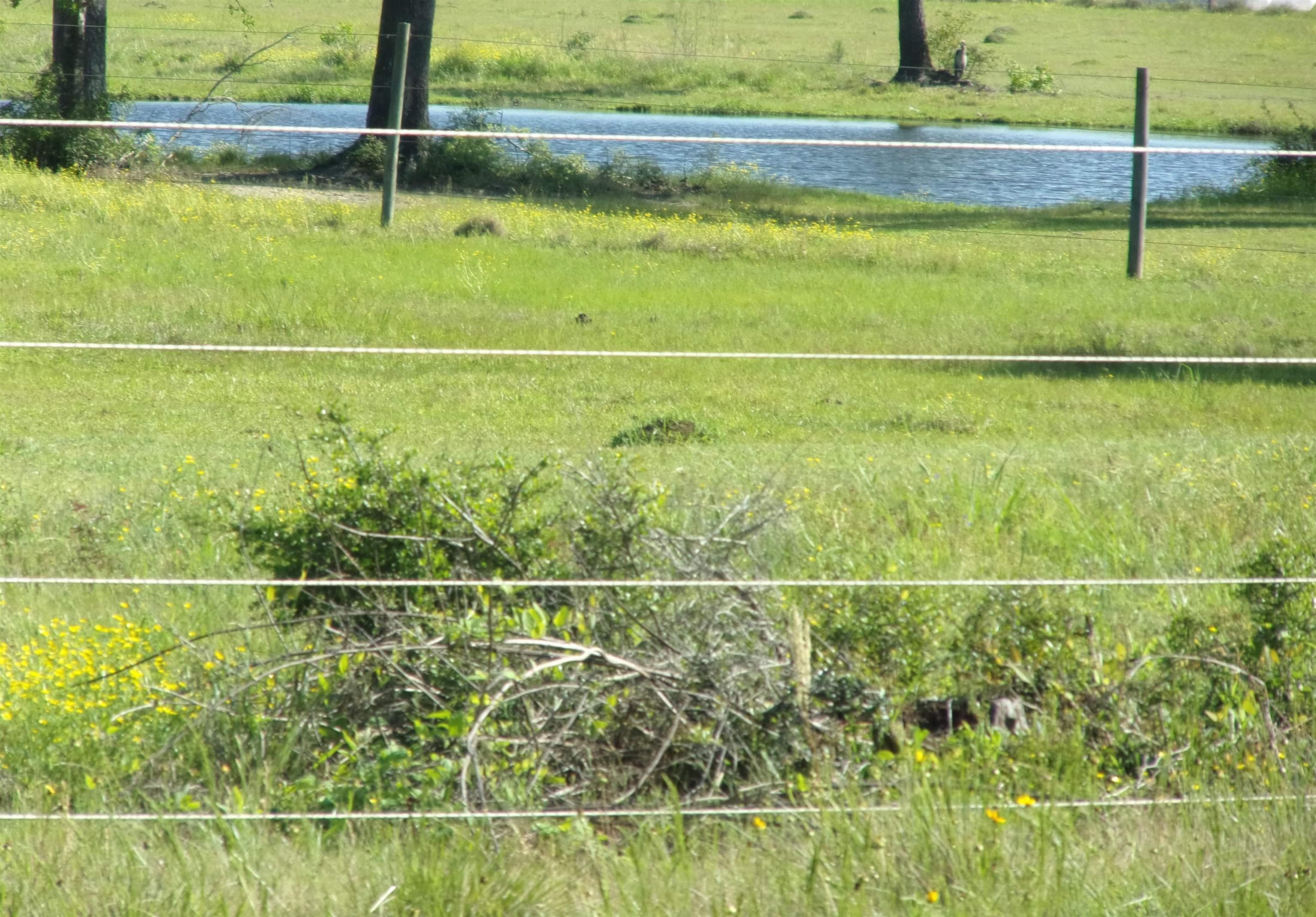 Image 3: Additional View