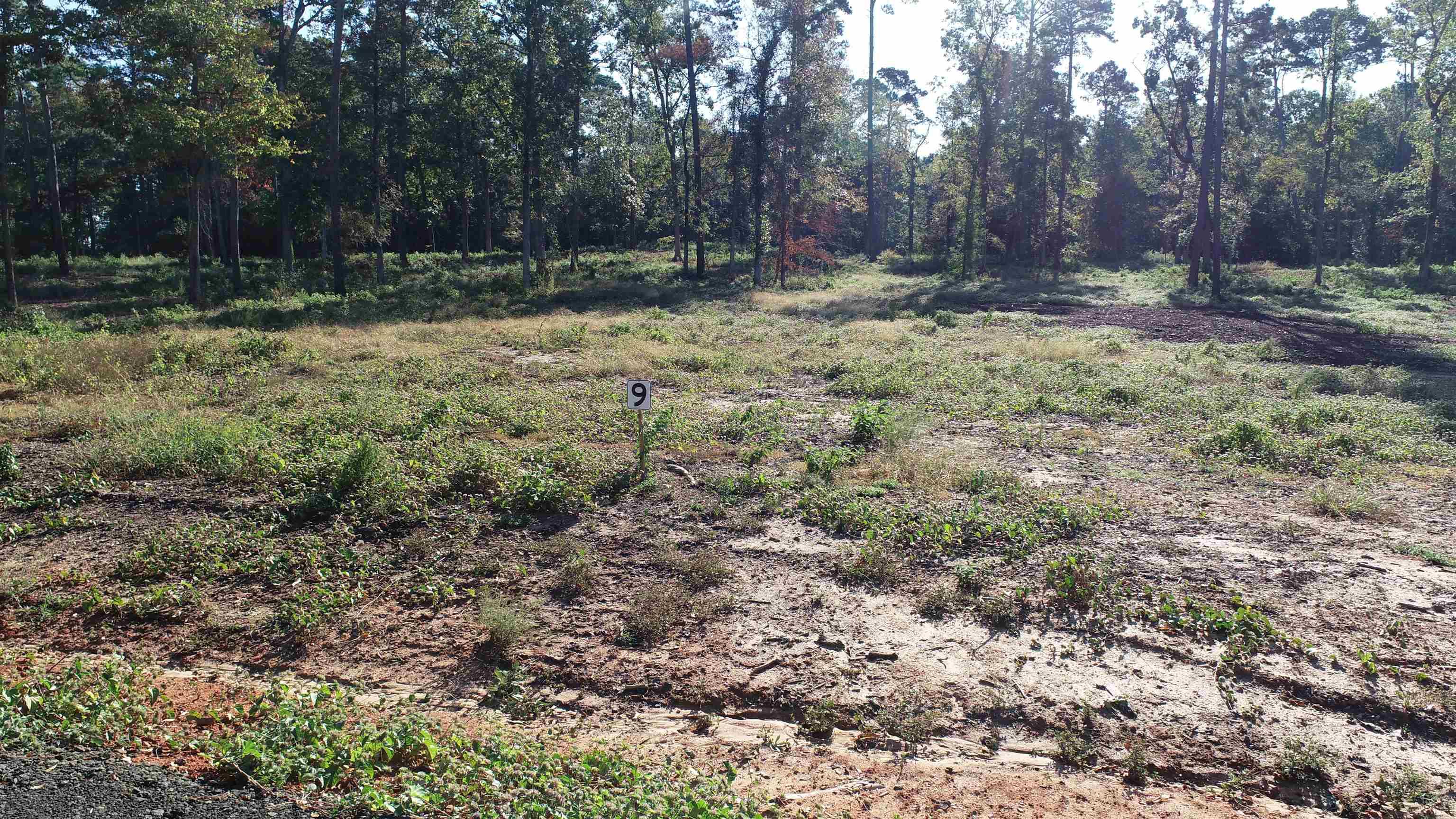 Image 2: Additional View