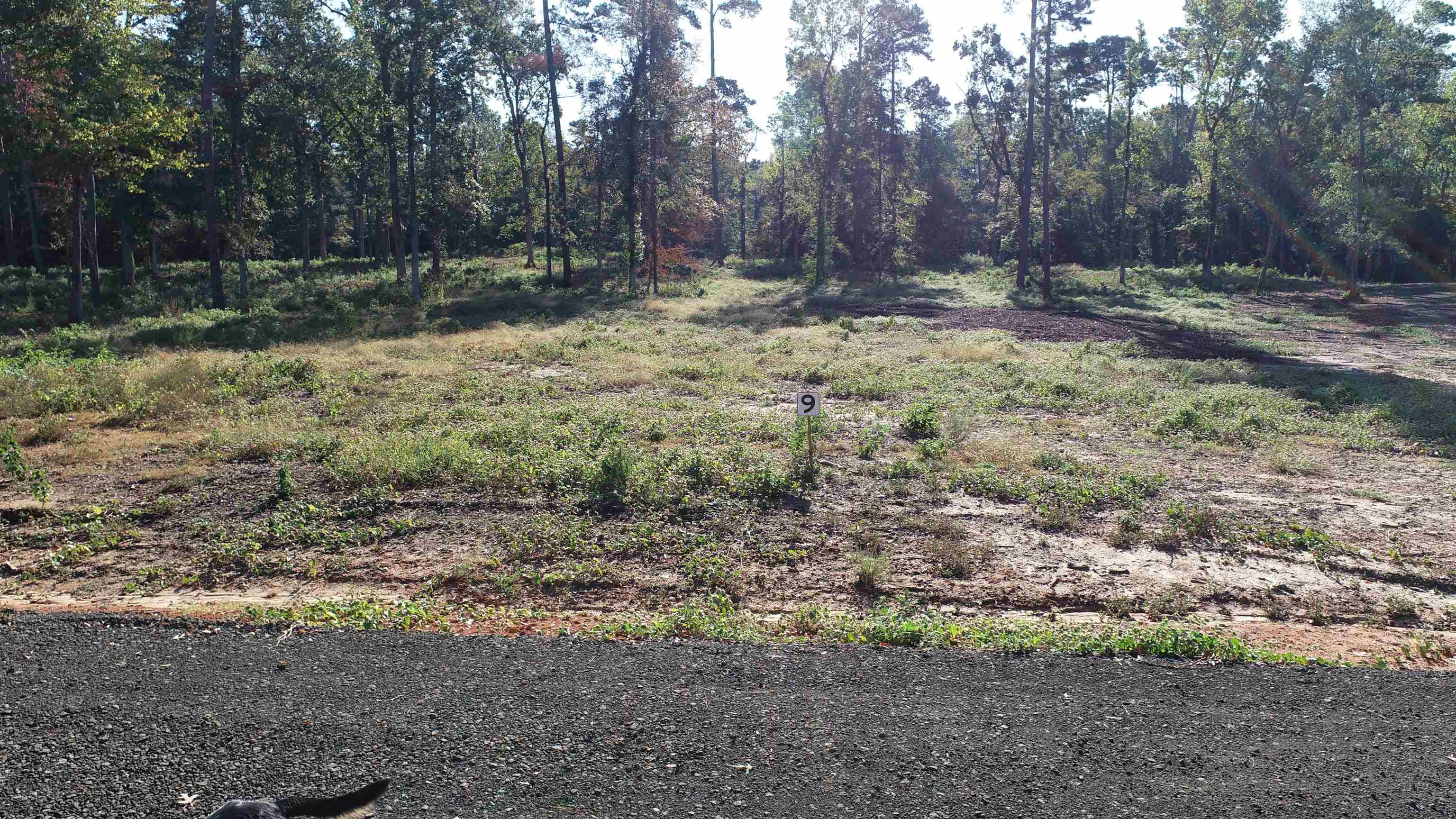 Image 3: Additional View