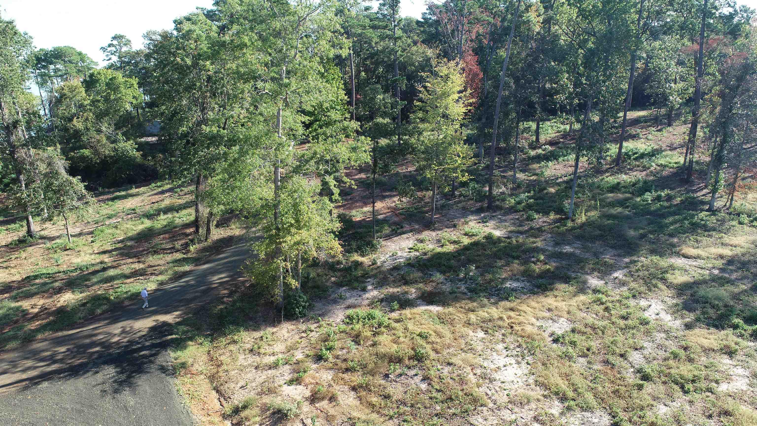 Image 4: Additional View