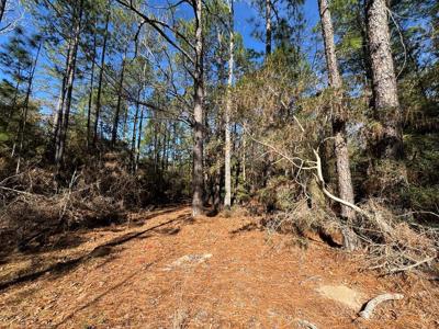 125 Sumac Drive