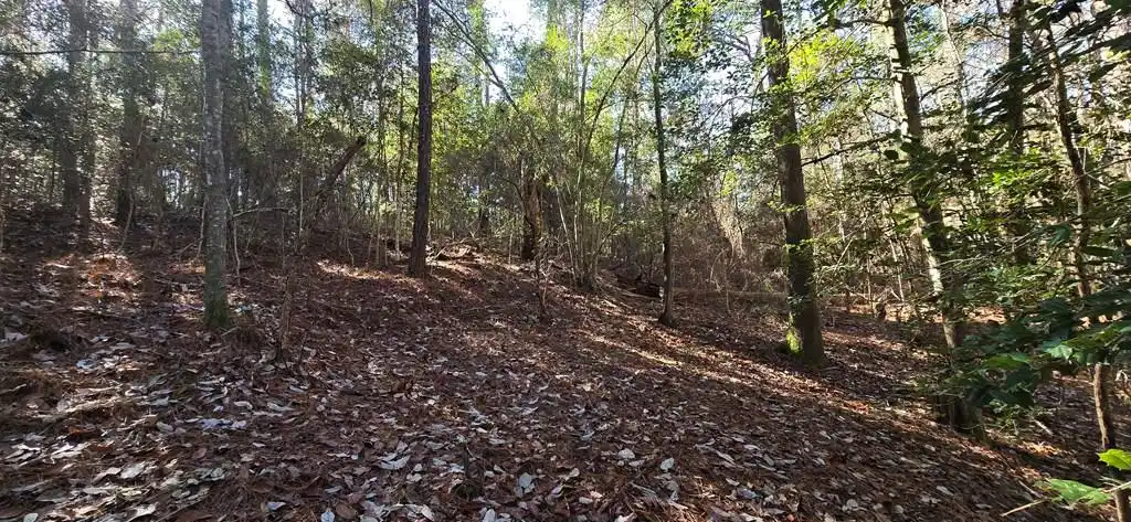 Image 1: Main View