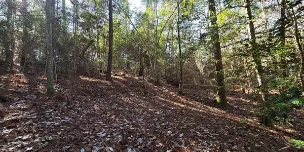 PIDN 35944 Fairway
