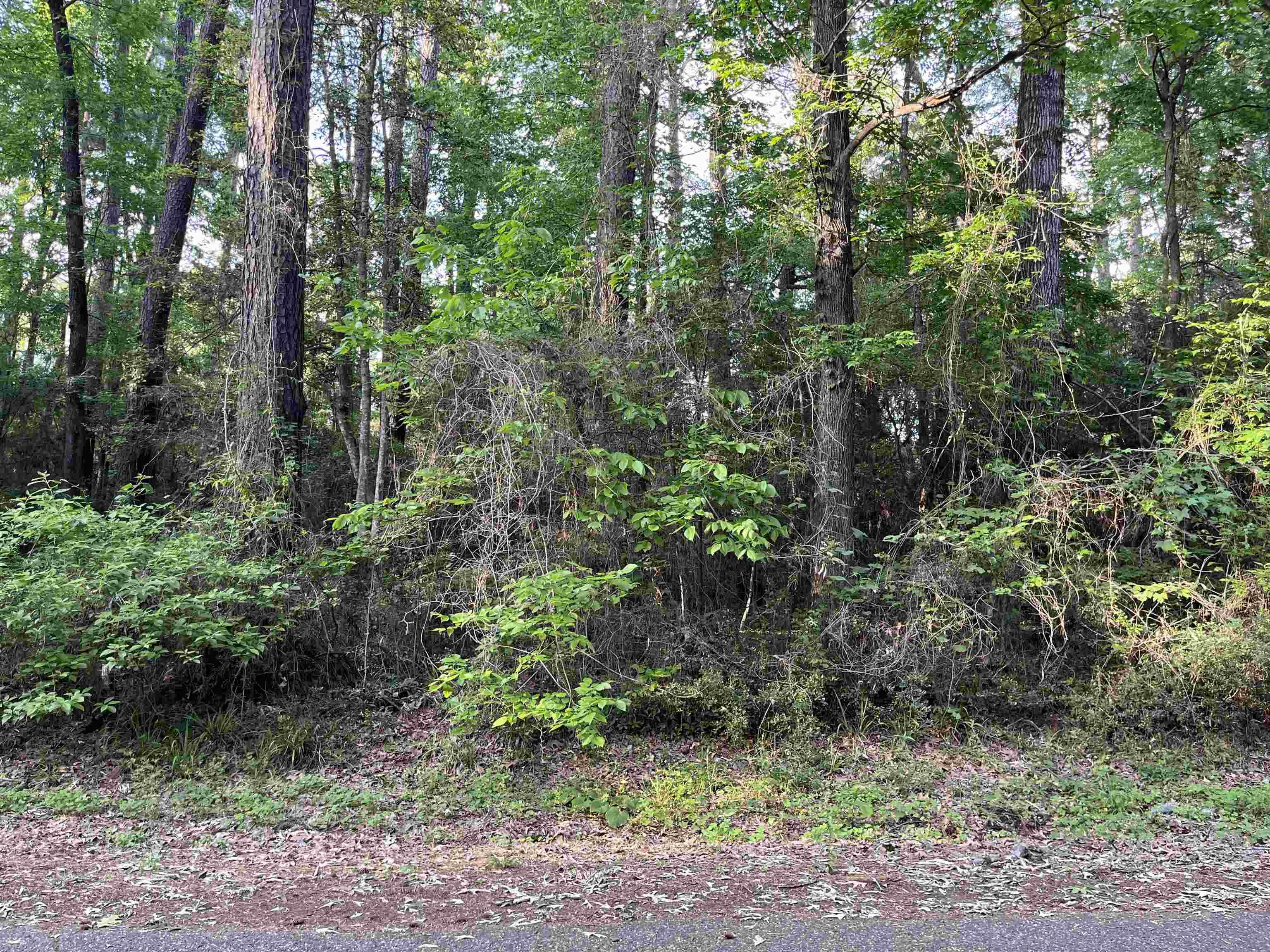Image 3: Additional View