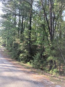 224 Piney Point Drive