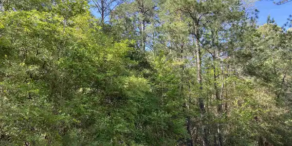 Image 4: Additional View