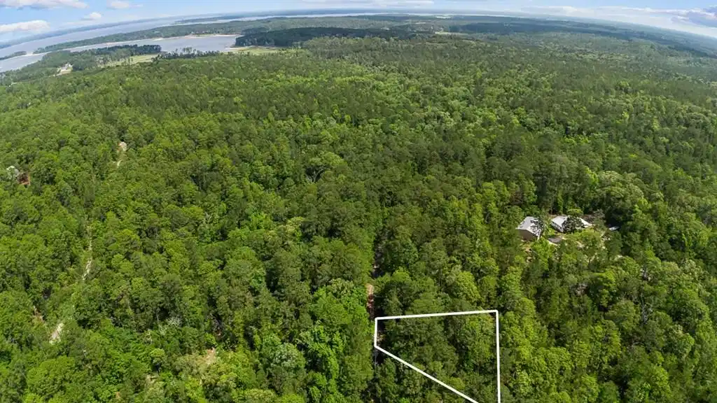 Image 1: Main View
