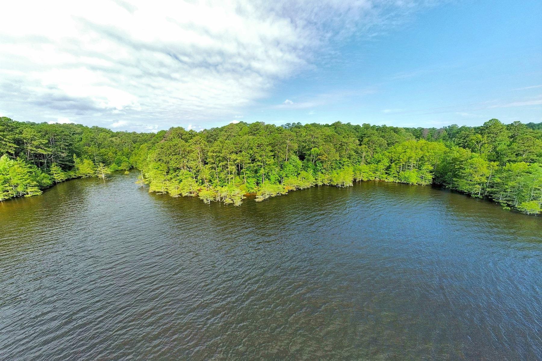 Image 4: Additional View