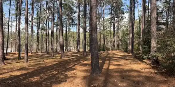 182 Private Rd 6009