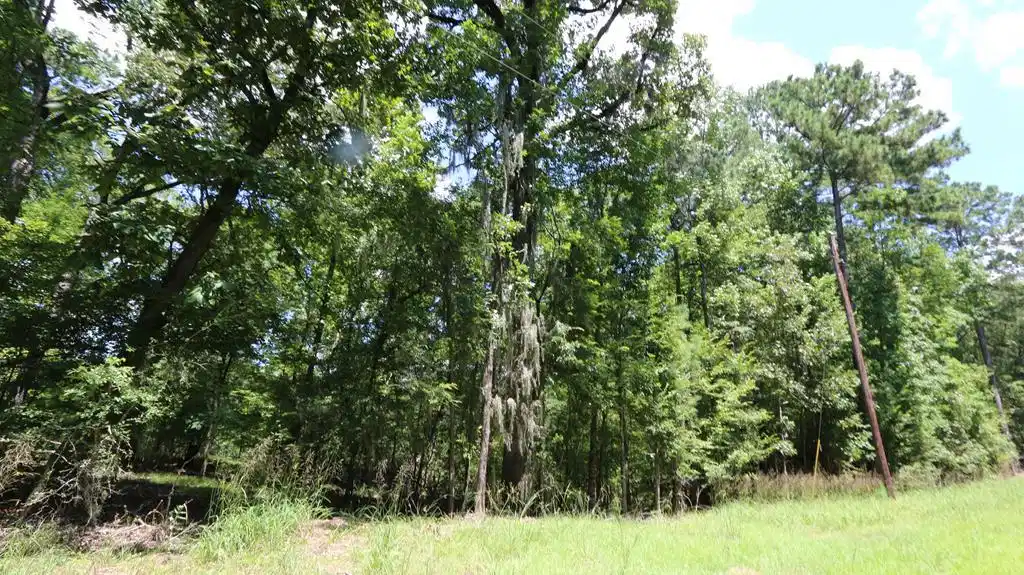 Image 1: Main View