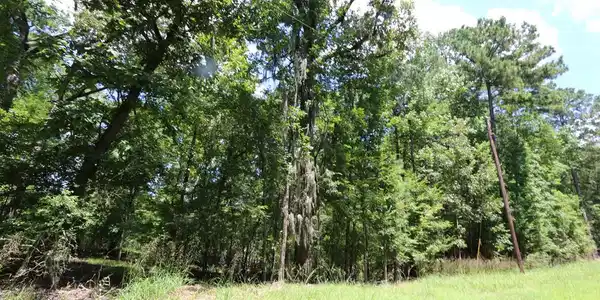 28411 County Road 374