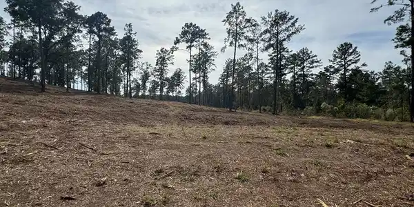 PID000896001400 County Road 219