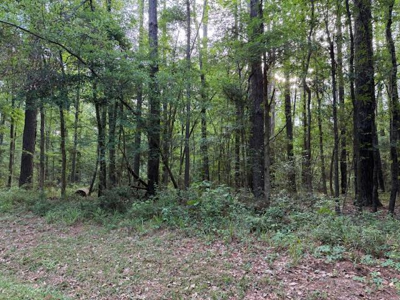 879 (Lot) Admiral Drive