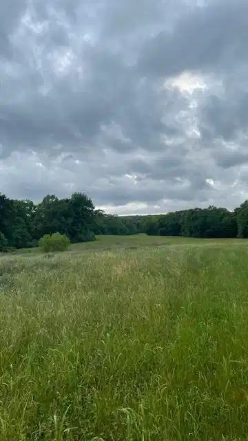 Image 1: Main View