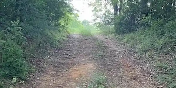 Image 2: Driveway