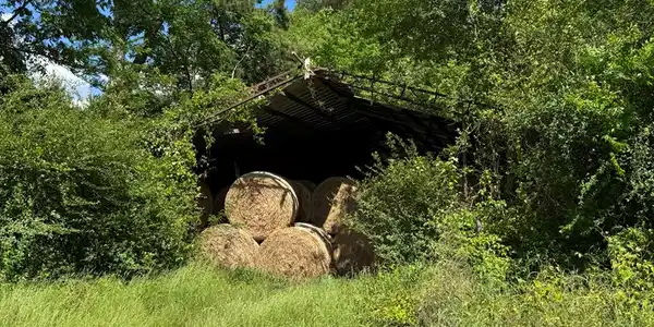Image 3: Hay Barn